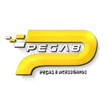 Ícone da PEGAB DISTRIBUIDORA DE PECAS LTDA