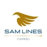 Ícone da SAM LINES CARGO LTDA