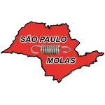 SAO PAULO INDUSTRIA E COMERCIO DE MOLAS LTDA