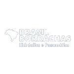 BRASIL BORRACHAS