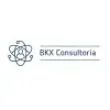 BKX CONSULTORIA