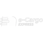 Ícone da ECARGO EXPRESS LTDA