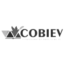 COBIEV