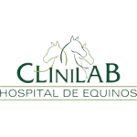 HOSPITAL DE EQUINOS