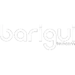 BARIGUI TELECOM