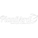 PLANTVERD