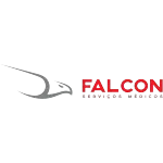 FALCON SERVICE