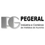 Ícone da PEGERAL INDUSTRIA E COMERCIO DE ARTEFATOS DE ALUMINIO LTDA