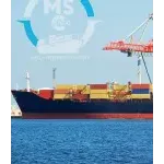 Ícone da MEGA SHIPPING CARGO SERVICOS LOGISTICOS LTDA