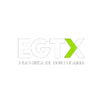 Ícone da EGTX LTDA