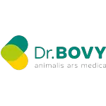 Ícone da DR BOVY CONSULTING LTDA