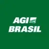 AGI BRASIL INDUSTRIA E COMERCIO SA