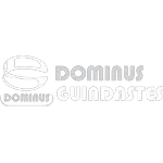 DOMINUS GUINDASTES