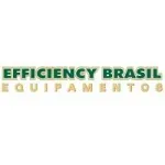 Ícone da EFFICIENCY BRASIL EQUIPAMENTOS LTDA