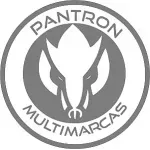 PANTRON SECURITY SYSTEN'S