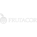 Ícone da FLOR E COR COMERCIO E SERVICOS LTDA