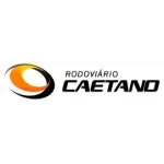 Ícone da R C CAETANO TRANSPORTE E LOGISTICA LTDA