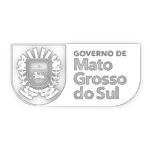 GOVERNO DO ESTADO DE MATO GROSSO DO SUL