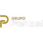 Ícone da PONTUAL  GESTAO CONTABIL E  FINANCEIRA LTDA