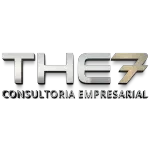 Ícone da THE7 CONSULTORIA EMPRESARIAL LTDA