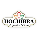 HOCHIBRA COGUMELOS EXOTICOS LTDA