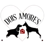 Ícone da DOIS AMORES PET SERVICES LTDA