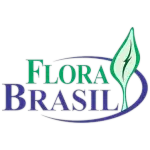 VIVEIRO FLORA BRASIL LTDA