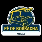 Ícone da MOLAS PE DE BORRACHA LTDA