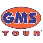 Ícone da GMS TOUR AGENCIA DE VIAGENS OPERADORA TURISTICA SERVICOS DE RESERVAS  ORGANIZACAO DE FEIRAS E EVENTOS  SERV DE PUBLICIDADE E MARKETING LTDA