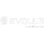 EVOLUB EVOLUCAO LUBRIFICANTES LTDA