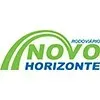 RODOVIARIO NOVO HORIZONTE LTDA