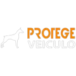 Ícone da PROTEGE VEICULO RASTREADORES LTDA