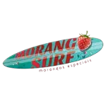 Ícone da MORANGO SURF LTDA