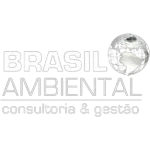 BRASIL AMBIENTAL LTDA