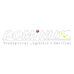 Ícone da DOMINUS TRANSPORTES LOGISTICA E SERVICOS LTDA