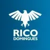 Ícone da RICO DOMINGUES CONCURSOS LTDA