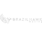 BRAZIL HAWK MOVING