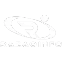 Ícone da RAZAOINFO INTERNET LTDA