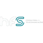 HFS CONSULTORIA EM TELECOMUNICACOES LTDA