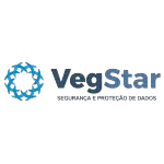 Ícone da VEGSTAR ASSESSORIA EM INFORMATICA LTDA