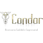 Ícone da ESCRITORIO CONDOR DE CONTABILIDADE LTDA