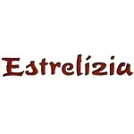 ESTRELIZIA COMERCIO DE CALCADOS LTDA