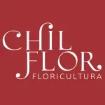 Ícone da CHILFLOR PRODUCAO E COMERCIO DE FLORES LTDA