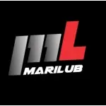 Ícone da MARILUB COMPONENTES MOTORS LTDA