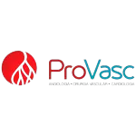 Ícone da PROVASC ASSISTENCIA MEDICA VASCULAR LTDA