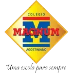 Ícone da COLEGIO VILA MAGNUS LTDA