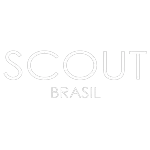 Ícone da SCOUT BRASIL COMERCIO DE PARAMOTORES LTDA