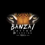 Ícone da BANZAI TATTOO PIERCING E REMOCAO LTDA