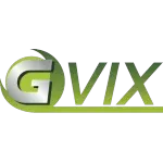 GVIXASSESSORIA EM COMERCIO EXTERIOR