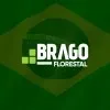 Ícone da BRAGO LOCACOES LTDA